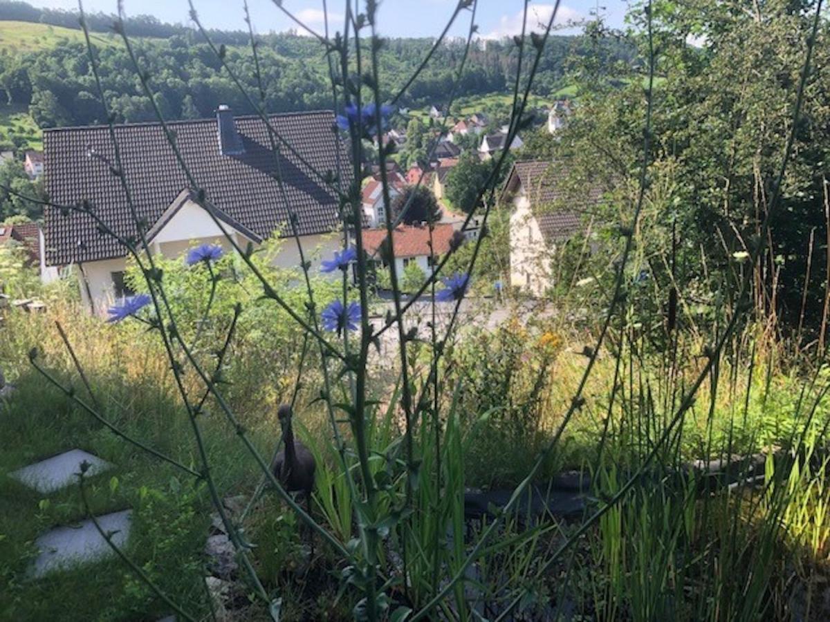 Haus Leenja Beverungen Exterior foto